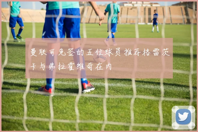 曼联可免签的五位球员推荐格雷茨卡与弗拉霍维奇在内